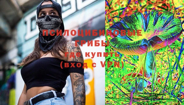 герыч Ладушкин